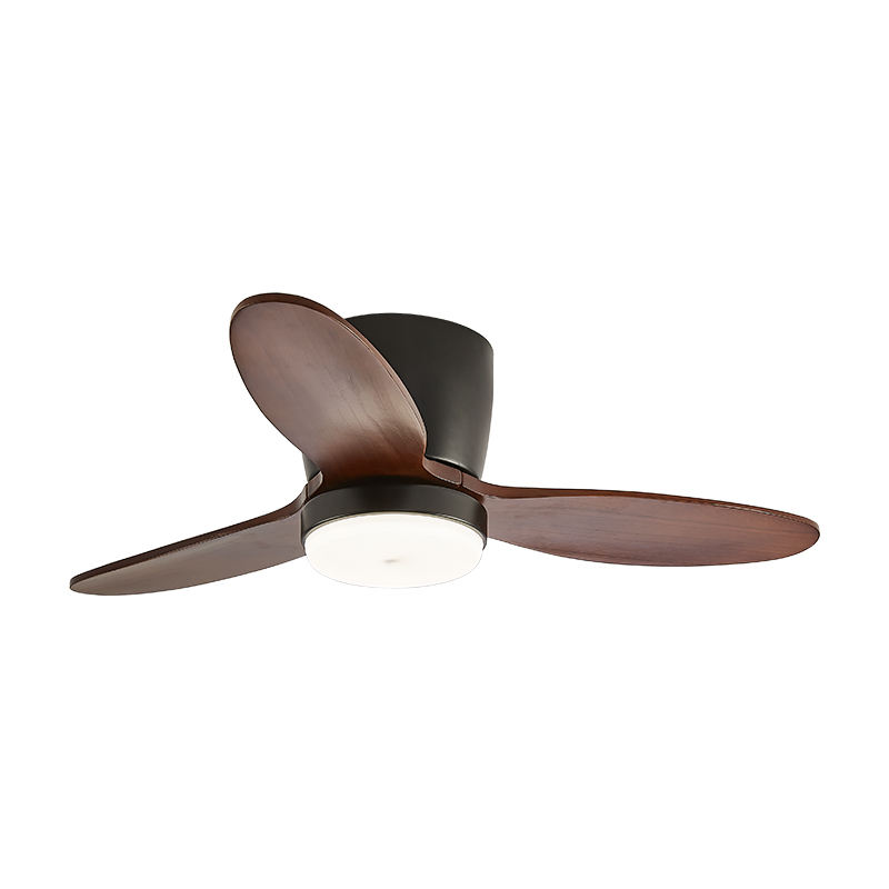 Nordic chandelier hanging living room ceiling fan