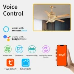 OEM ODM super silent bedroom chandelier BLDC motor living room crystal fan lamps light