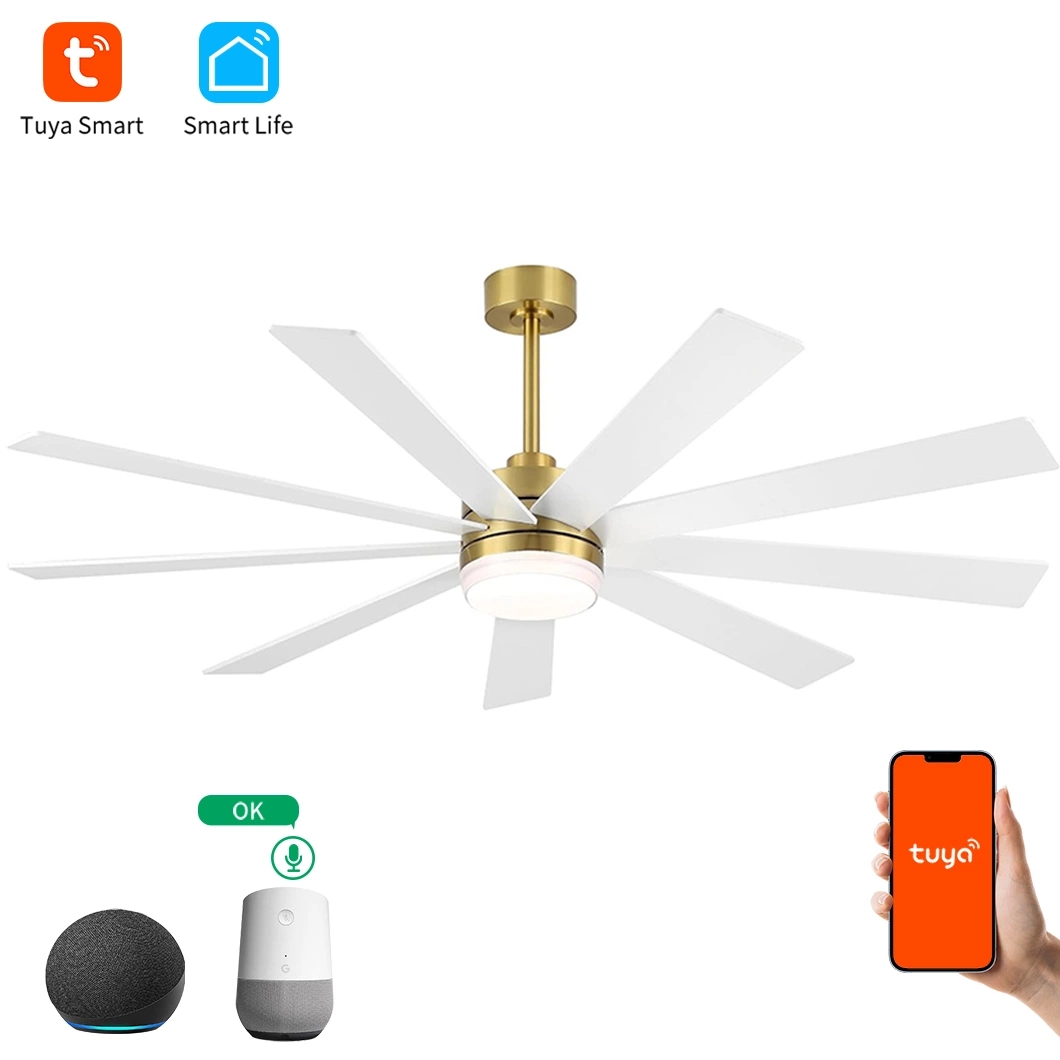 9blades ABS Modern Styles Outdoor Design Ceiling Fan with Light