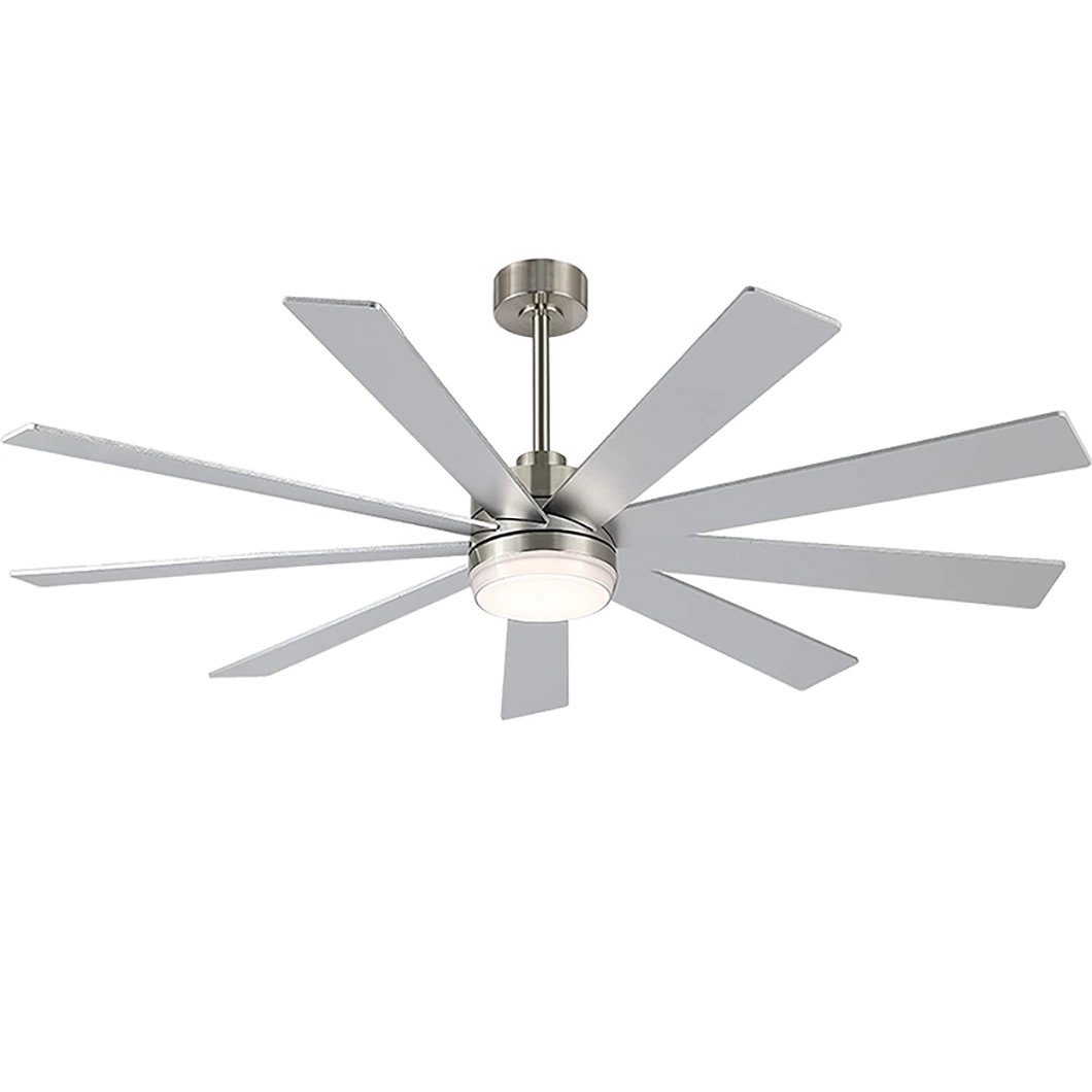 9blades ABS Modern Styles Outdoor Design Ceiling Fan with Light
