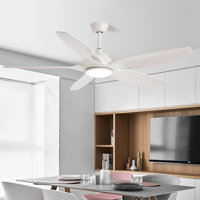 Factory Wholesale 52 Inch 5 Iron Blade Restaurant Nordic Lighting DC LED Ceiling Fan
