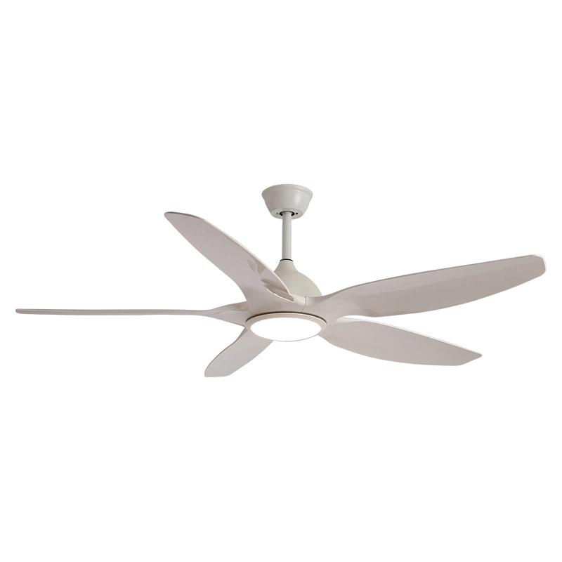Factory Wholesale 52 Inch 5 Iron Blade Restaurant Nordic Lighting DC LED Ceiling Fan