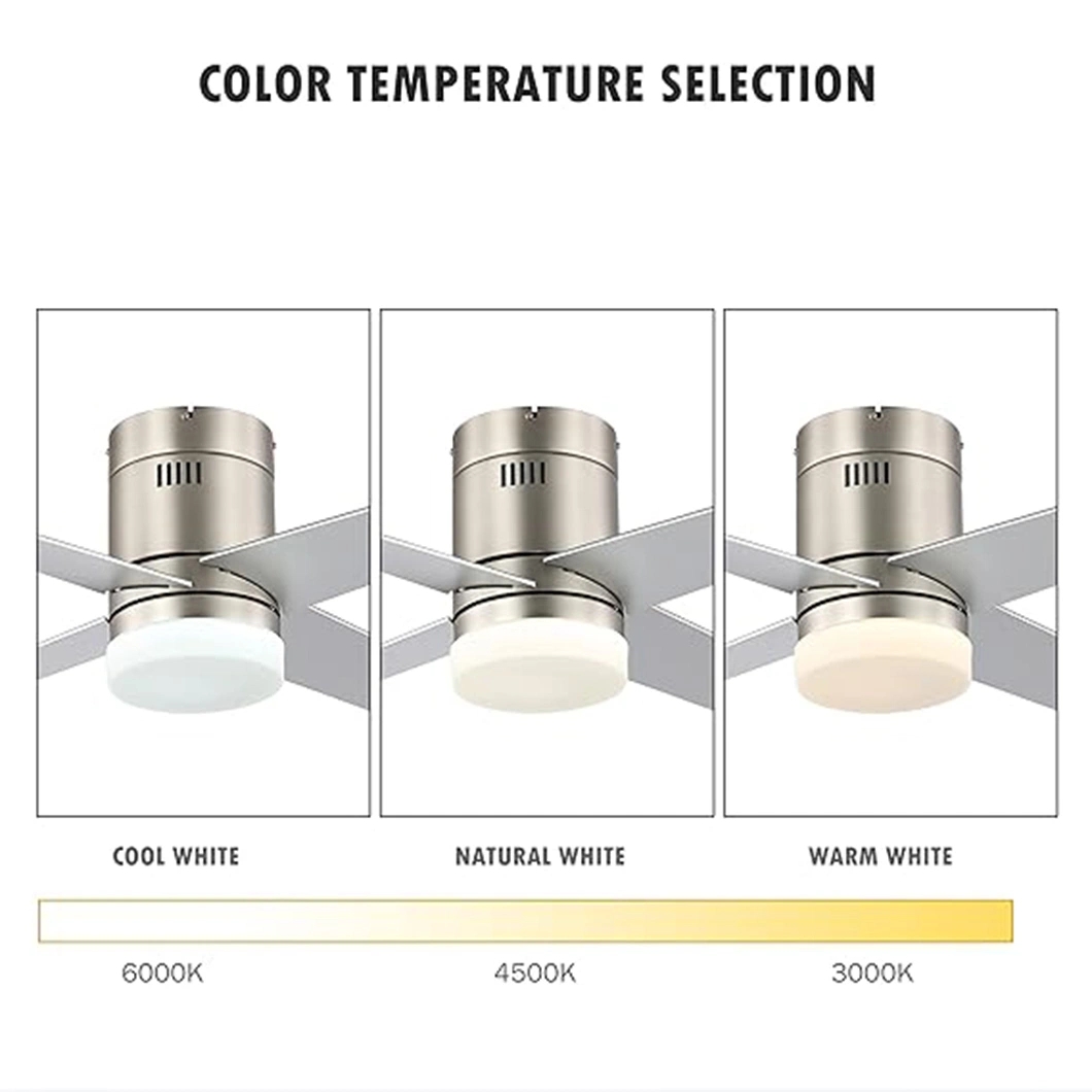 Modern LED Lighting Remote Control Copper Motor Silver Ceiling Fan with Light