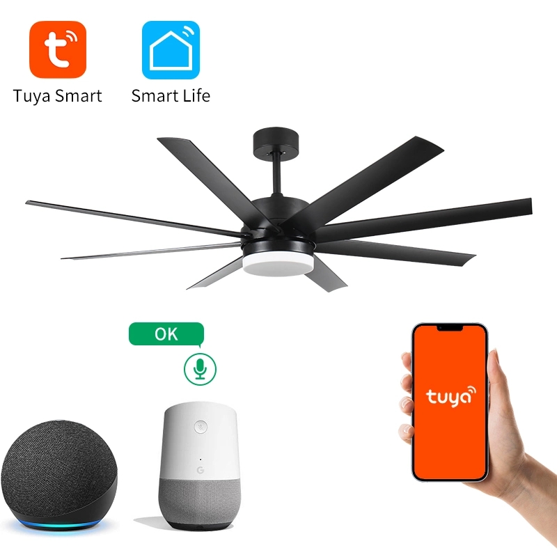 New Design Remote Control Modern Style Cheap Ceiling Fan with Light